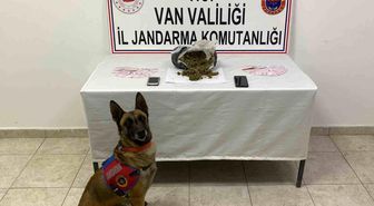 Van'da 1 kilo 64 gram skunk maddesi ele geçirildi