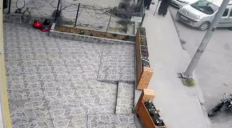 Avcılar'da bastonla geldi; iş yeri önündeki çiçekleri kökünden söküp çaldı