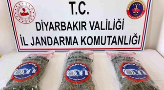 Diyarbakır'da 25 kilo esrar ele geçirildi