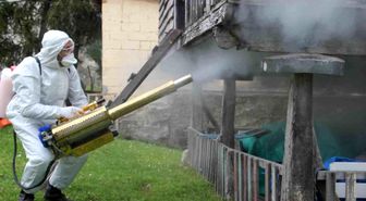 Ordu'da kahverengi kokarca ile kışlak mücadelesi: 330 bin noktadan 190 bini ilaçlandı