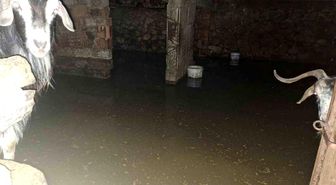 Sel ahırı bastı, 12 keçi ekipler tarafından kurtarıldı