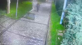 Beyoğlu'nda yerdeki cep telefonunu önce ayağıyla itti; sonra cebine koyup uzaklaştı