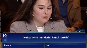 Kutup ayılarının derisi hangi renktir?
