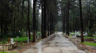 Adana'da şiddetli yağış nedeniyle arife günü mezarlıklar boş kaldı