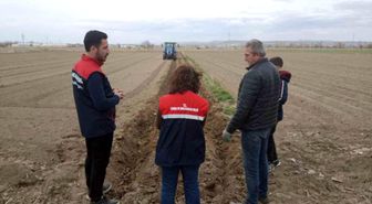 Patates ekimi sezonu başladı