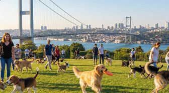 Zengin semtinde yaptığı işten 150 bin lira kazanıyor: Okumayın, iş kovalayın