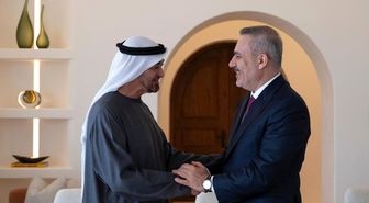Bakan Fidan, BAE'de