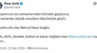 AK Parti'li Çelik'ten 'Nevruz Bayramı' mesajı