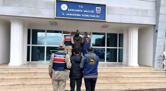 Şanlıurfa'da aranan 2 hükümlü yakalandı