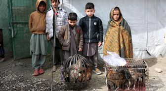 Afganistan: Son Bir Yılda 3 Milyondan Fazla Mülteci Geri Döndü
