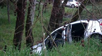 Pendik'te virajı alamayan sürücü ağaca çarptı