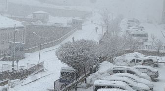 Yüksekova'da kar yağışı etkili oldu