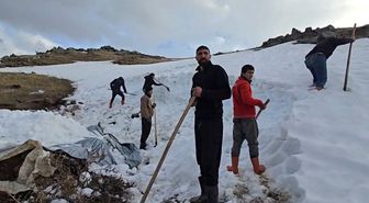 Ağrı Dağı eteklerinde kar depolama mesaisi