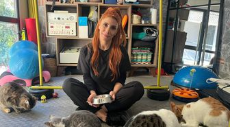 Fizik tedavi gören felçli 4 kedi için yuva arayışı