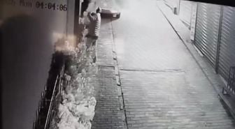 Motosiklet kasklı hırsız, iş yerinden süs ağacı çaldı