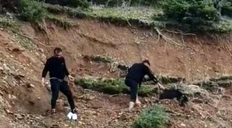 Çamura saplanan keçi son anda kurtarıldı