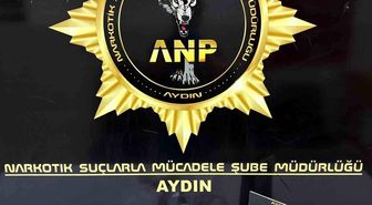 Aydın'da uyuşturucu operasyonu: 1 tutuklama