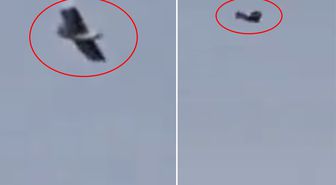 İran üzerinde kuş görünümlü insansız hava aracı görüntülendi