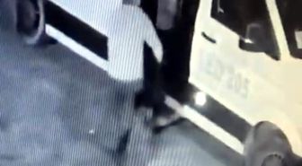 Avcılar'da mahallenin maskotu 'Garip' isimli köpeği çalan şüpheli yakalandı
