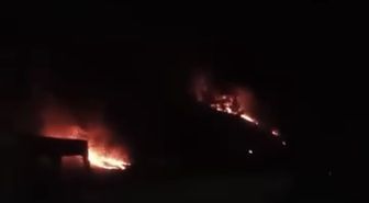 Ormanda çıkan örtü yangını söndürüldü