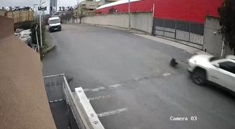 Avcılar'da cip sürücüsü köpeği ezdi yoluna devam etti