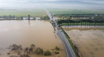 Aydın'da Büyük Menderes Nehri taştı: Tarım arazileri su altında kaldı
