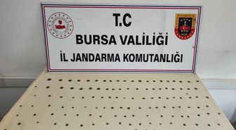 Mudanya'da Tarihi Eser Operasyonu: 137 Sikke Ele Geçirildi