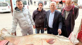 Diyarbakır'da 120 kiloluk turna balığı görenleri hayrete düşürdü