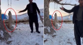 Çok yediğini iddia ettiği köpeğini ağaca asıp öldürdü