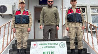 Bitlis'te yasa dışı av yapan 2 kişiye ceza kesildi