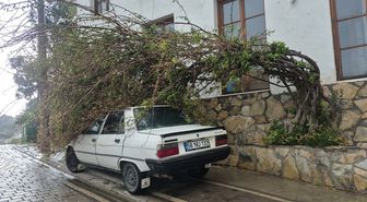 Bodrum'da tam fırtına günlük yaşamı olumsuz etkiledi