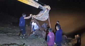 Cizre'de nehre düşen inek iş makinesiyle kurtarıldı