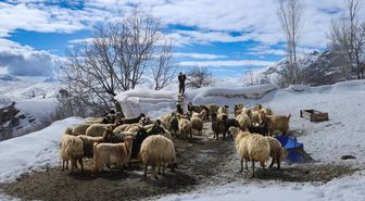 Hakkari'nin bir tarafında bahar diğer tarafında kış yaşanıyor