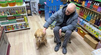Hastalığına tanı konulamayan köpek sevginin gücüyle hayata bağlandı