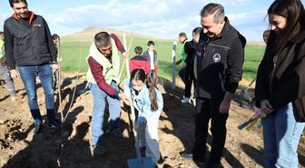 Sungurlu'da Çocuk ve Genç Meclisi üyeleri fidan dikti