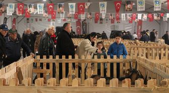 Tekirdağ'da 'Küçükbaş Hayvancılık Festivali' yoğun katılımla devam ediyor