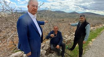 Yağışlar Araban Ovası'nda üreticinin yüzünü güldürdü