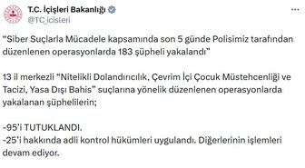 13 ilde 'siber suç' operasyonu; 95 tutuklama
