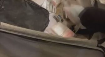 Esenyurt'ta uyuşturucu ve silah operasyonunda el bombası bulundu; 2 şüpheli tutuklandı