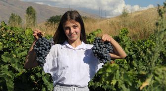 Erzincan tulum peyniri ve Cimin üzümü 'Slow Food Ark of Taste' listesine alındı