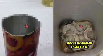 Meyve suyundan yılan mı çıktı, yılan çıkan meye suyu hangi marka, video gerçek mi, yapay zeka mı?