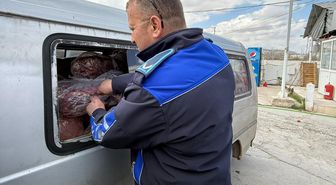 Gastronominin başkentinde rezil görüntüler! Hemen el konuldu