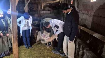 Özalp'te çiftçilere yönelik eğitim seferberliği başlatıldı
