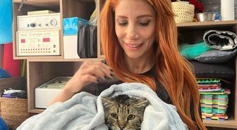 Engelli 3 kedi, veterinerde fizik tedaviyle yürümeye başladı