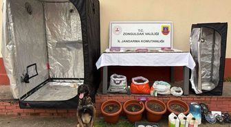Zonguldak'ta uyuşturucu operasyonu; 8 tutuklama