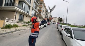 Avcılar'da havalandırma boşluğuna düşen güvercin ve martıyı itfaiye kurtardı