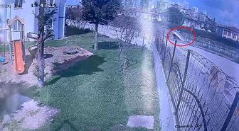 Dereye uçan kamyonetin sürücüsü hayatını kaybetti