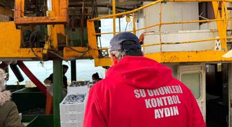 Hamsi kotası için Didim'de denetim yapıldı