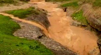 Siirt'te dolu yağışı etkili oldu, bahçeler zarar gördü
