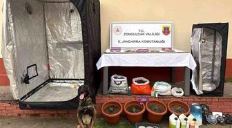 Zonguldak'ta jandarmanın uyuşturucu operasyonunda 2 şüpheli tutuklandı